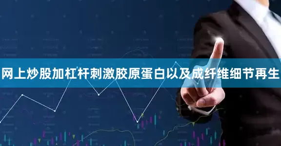 网上炒股加杠杆刺激胶原蛋白以及成纤维细节再生