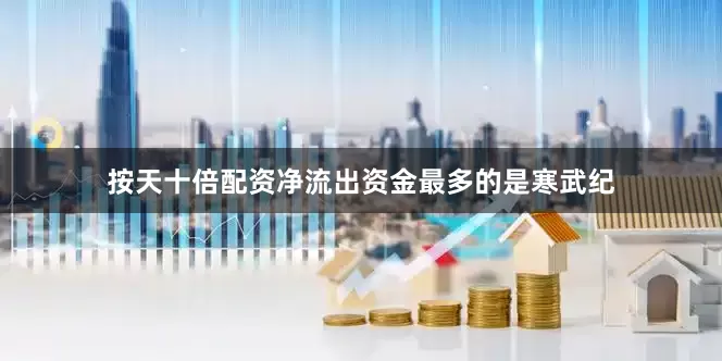 按天十倍配资净流出资金最多的是寒武纪