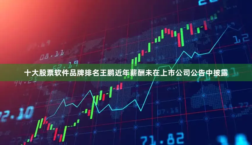 十大股票软件品牌排名王鹏近年薪酬未在上市公司公告中披露