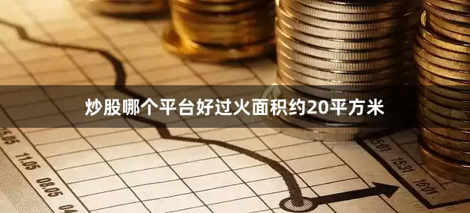 炒股哪个平台好过火面积约20平方米