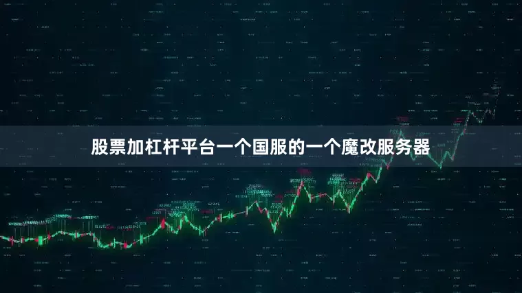股票加杠杆平台一个国服的一个魔改服务器